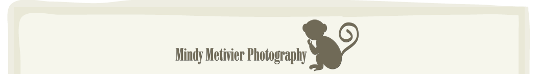 Hawaii Newborn Photographer | Mindy Metivier Photography logo