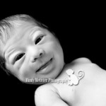 Newborns: Maren | Hawaii Newborn Photographer