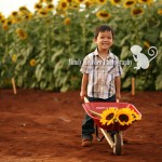 Sneak Peek: You Are My Sunshine