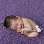 Sneak Peek: Grace | Hawaii Newborn Photographer