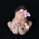 Sneak Peek: Kulani | Hawaii Newborn Photographer