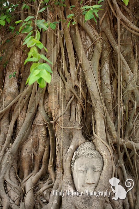 Wat Mahathat Ayutthaya