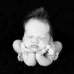 Newborns: Kulani | Hawaii Newborn Photographer