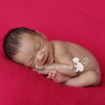 Newborns: Mehana | Hawaii Newborn Photographer
