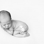 Newborns: Carson | Hawaii Newborn Photographer